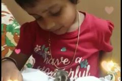 Pet day celebration