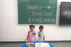 Rakshabandhan