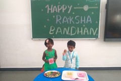 Rakshabandhan-Pic2