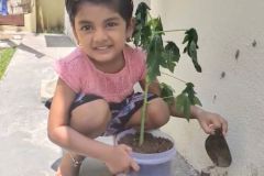 World Environmental Day celebration