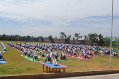 International Day of Yoga