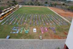 International Yoga Day