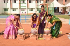 Pongal Celebrations